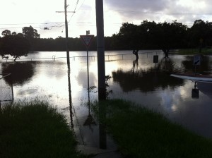 Langlands Park Coorparoo January 12th 2011